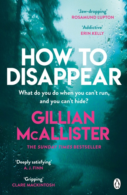 How to Disappear Audiobook