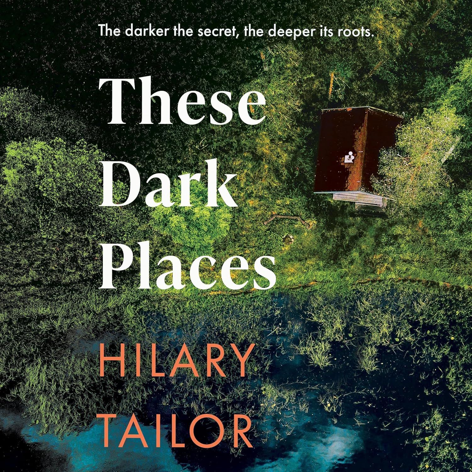 These Dark Places by Hilary Tailor (Audiobook)