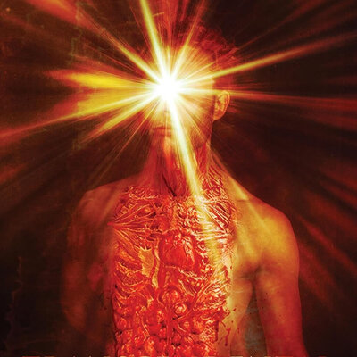 Free Audiobook: Transcendental Mutilation by Ryan Harding