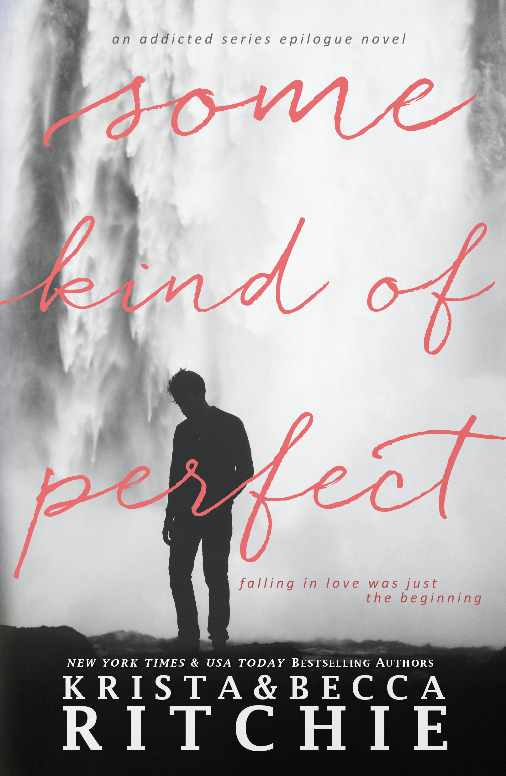 Some Kind of Perfect by Krista Ritchie (Audiobook)