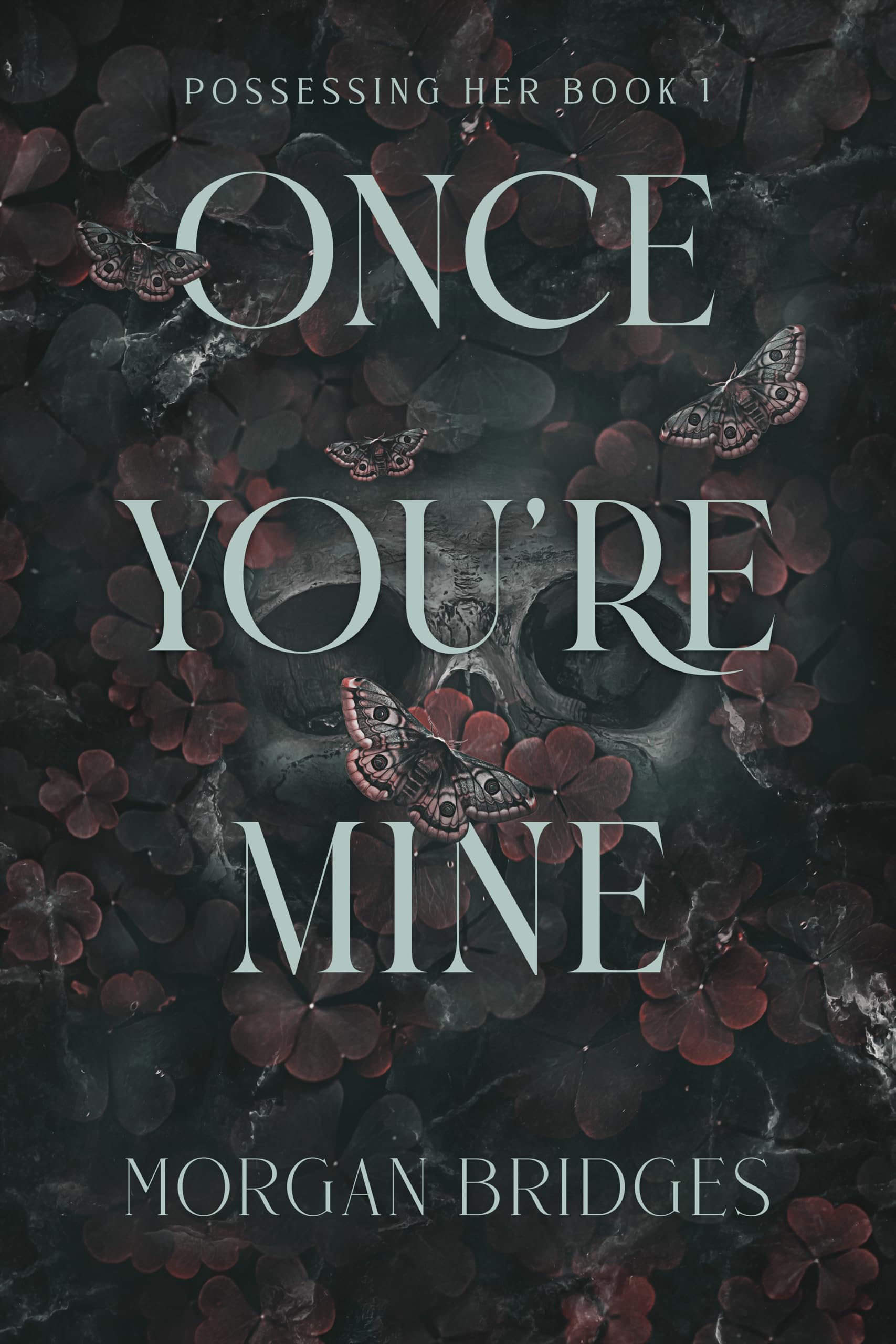 Once You’re Mine Audiobook