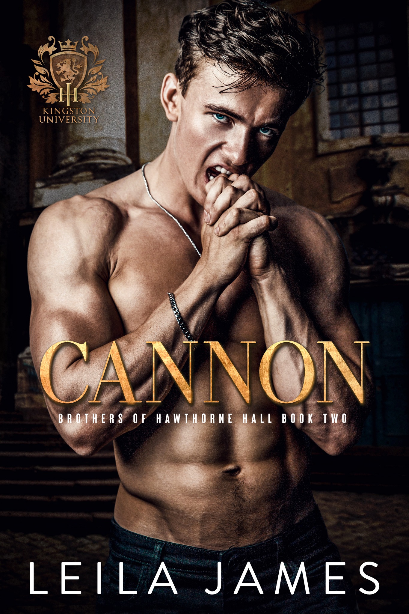 Cannon – Full Audiobook