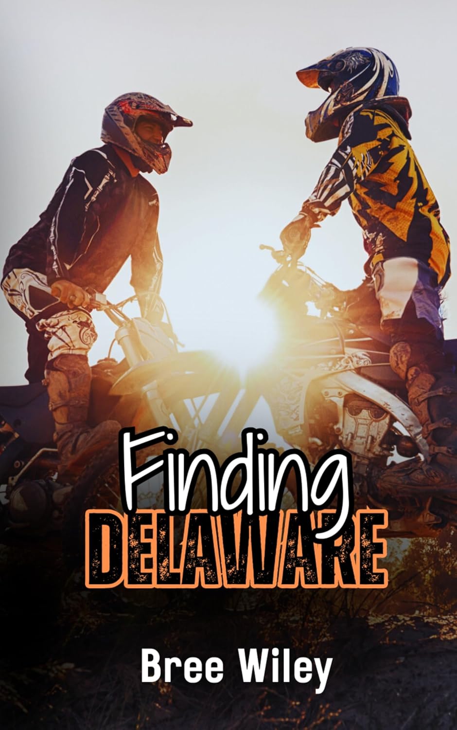 Stream Finding Delaware by Bree Wiley