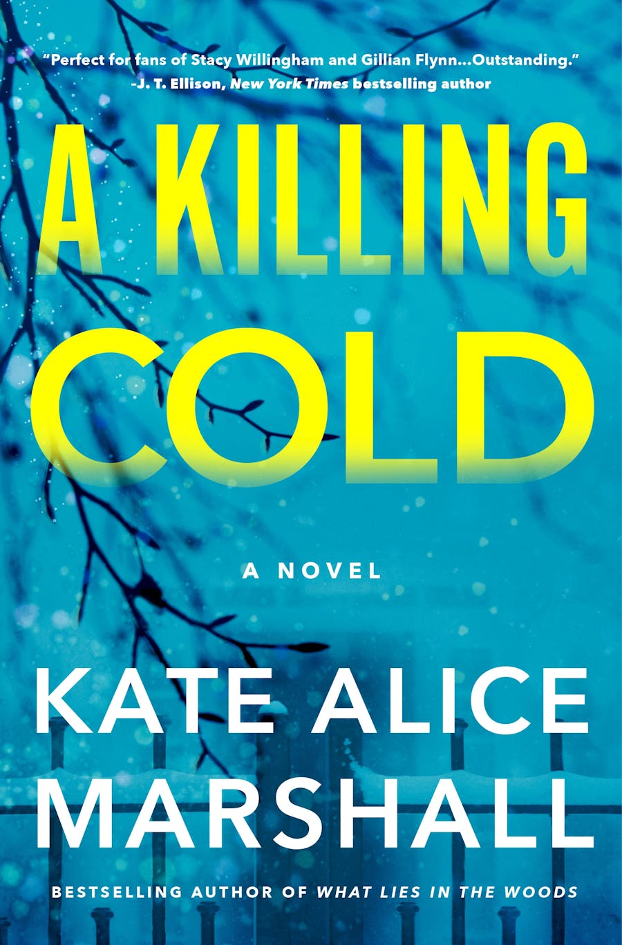 Listen to A Killing Cold