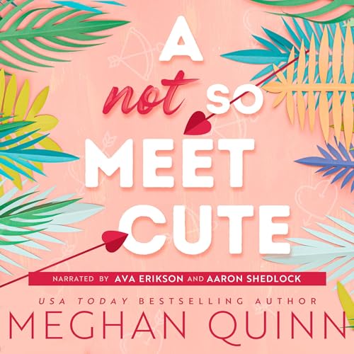 Meghan Quinn: A Not So Meet Cute
