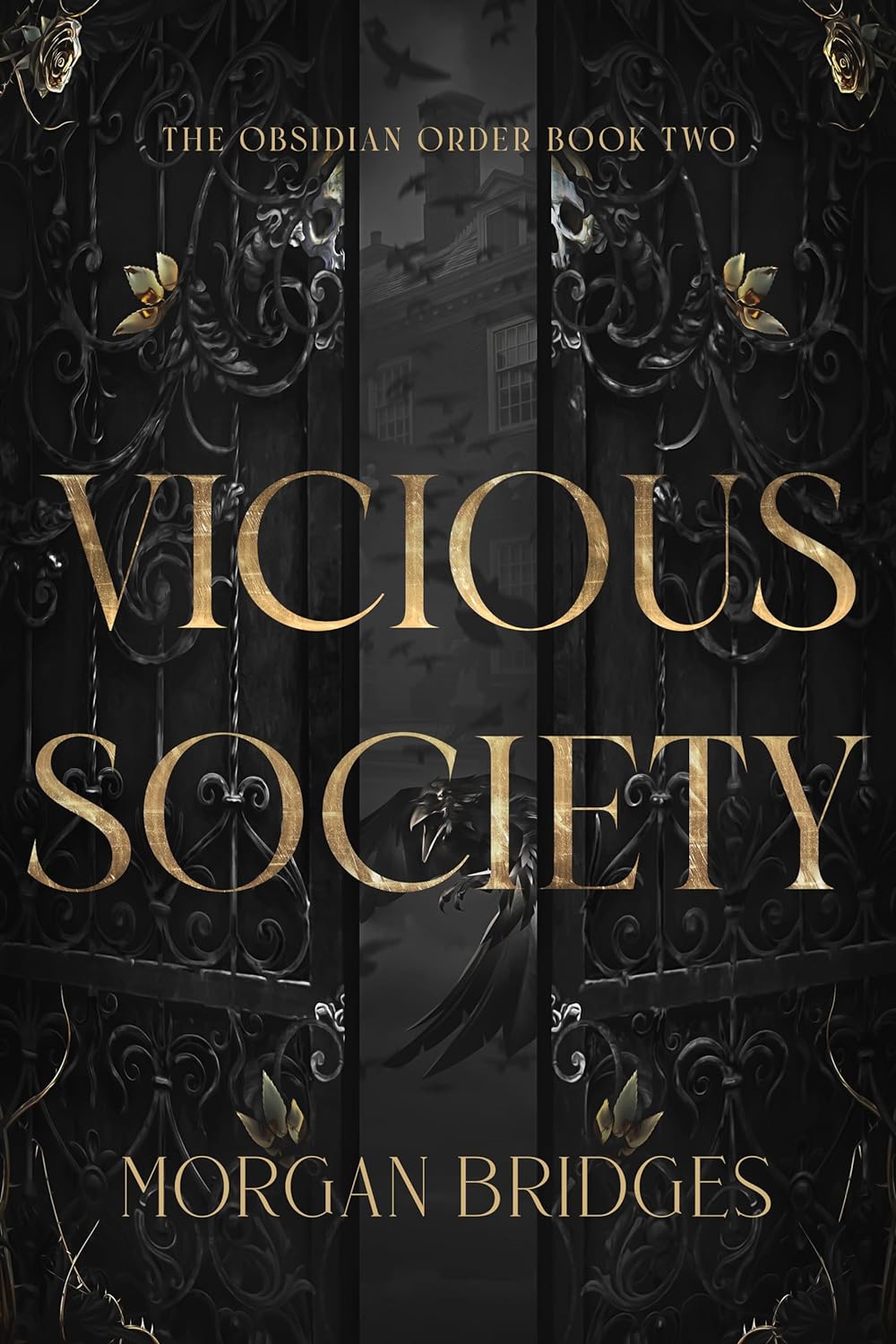 Vicious Society Audiobook