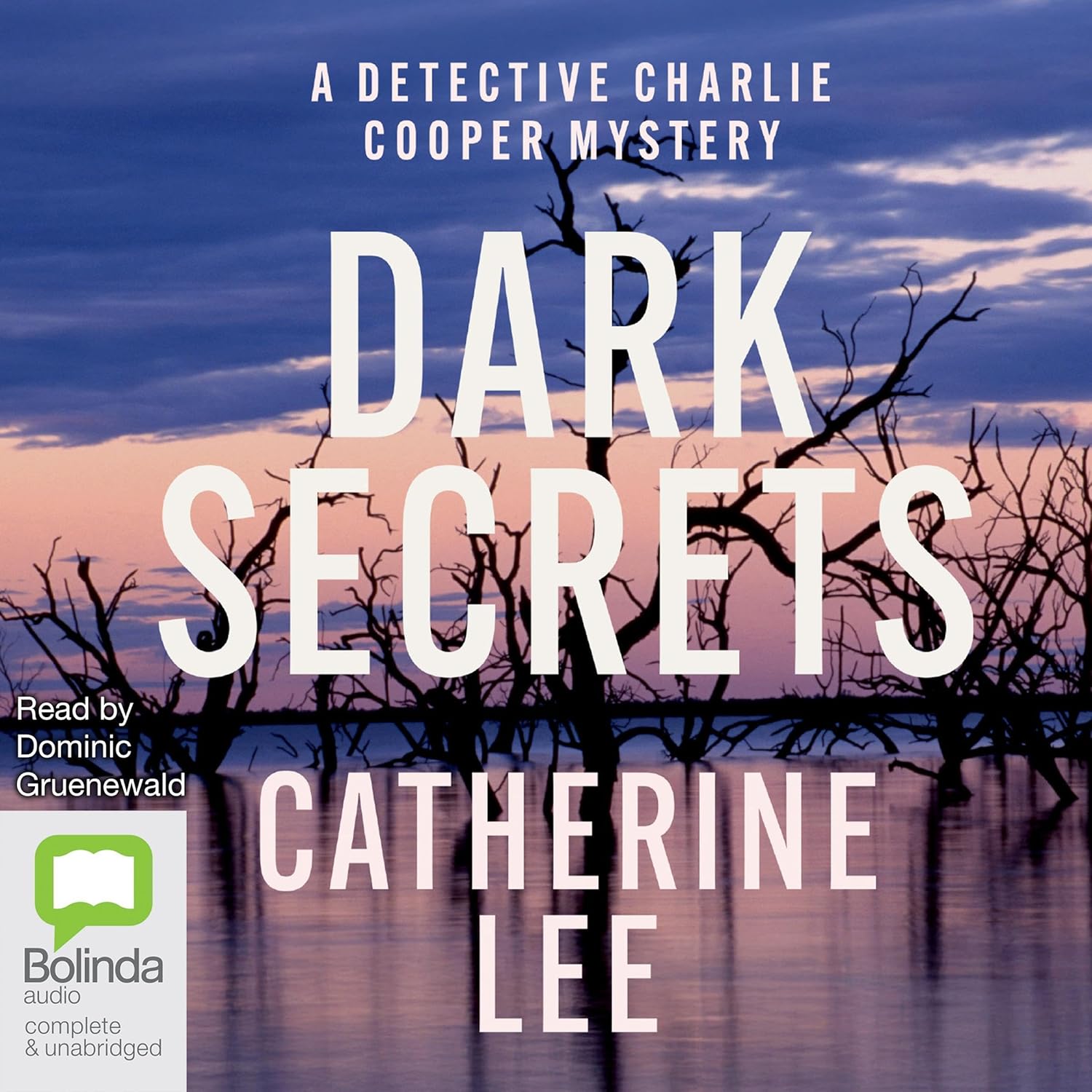 Dark Secrets by Catherine Lee (Audiobook)