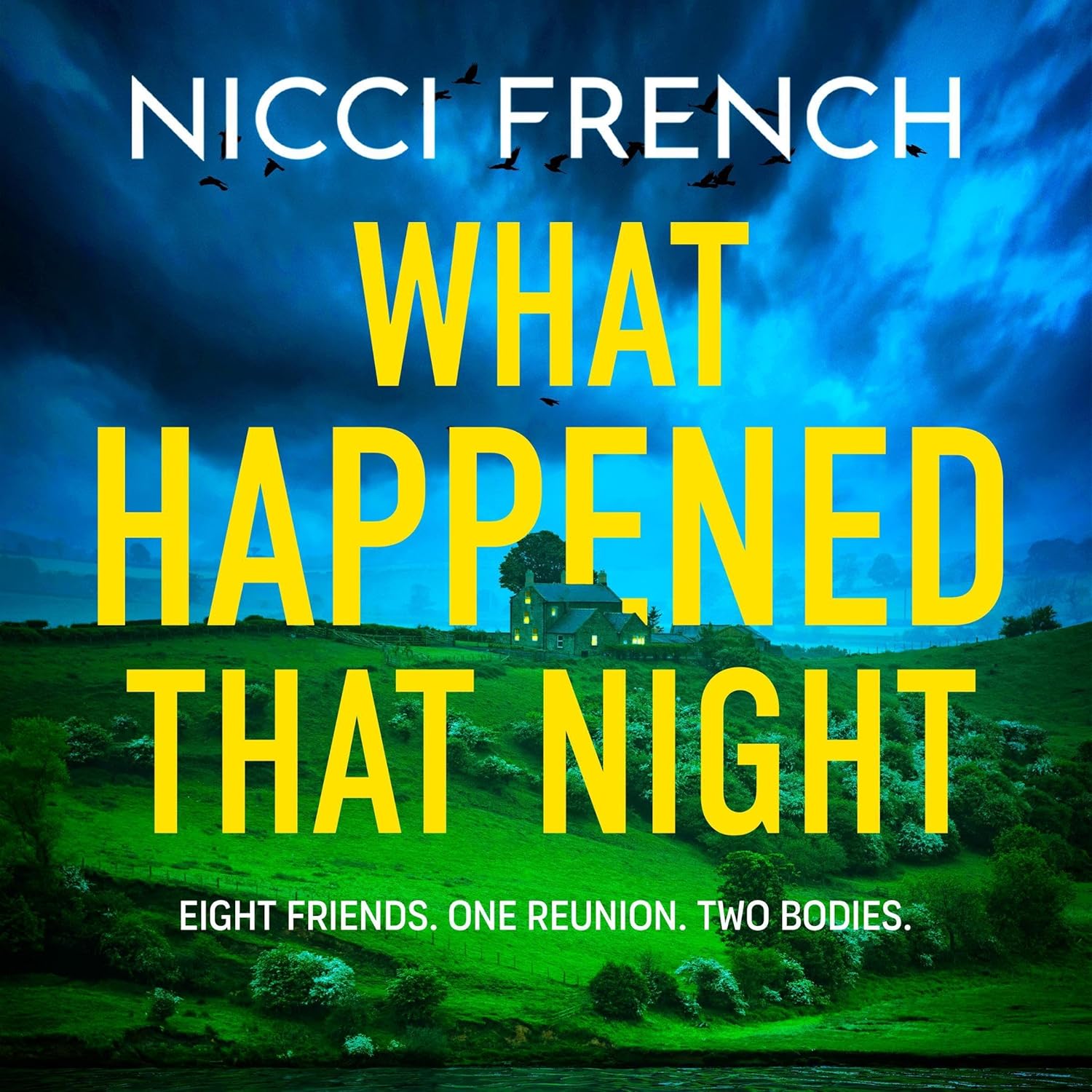 What Happened that Night Audiobook