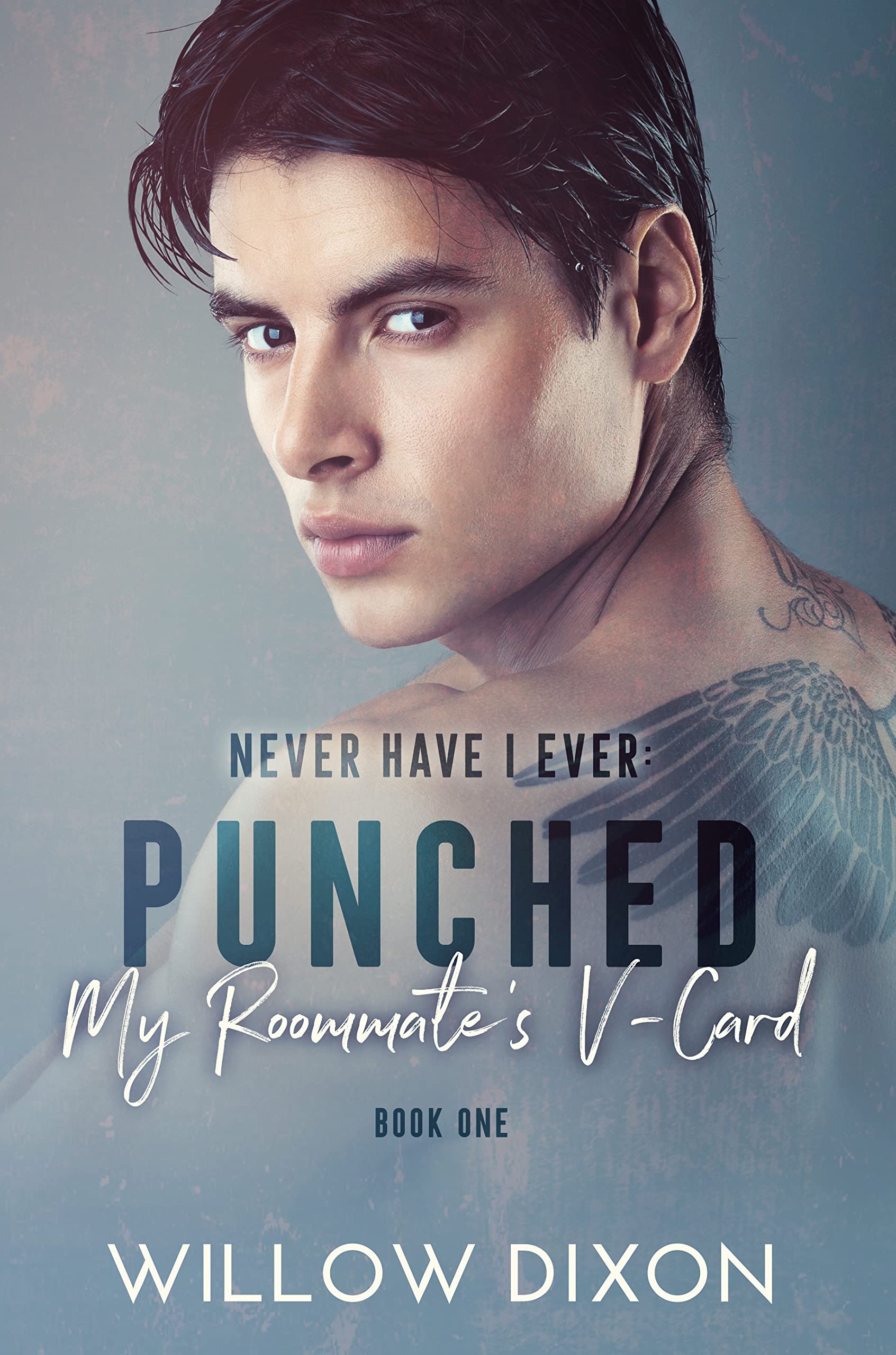 Never Have I Ever: Punched My Roommate’s V-Card — Narrated Edition