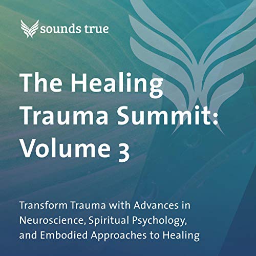 Stephen Porges, Pat Ogden, Leslie Booker, Edith Eva Eger, Richard C. Schwartz: The Healing Trauma Summit: Volume 3