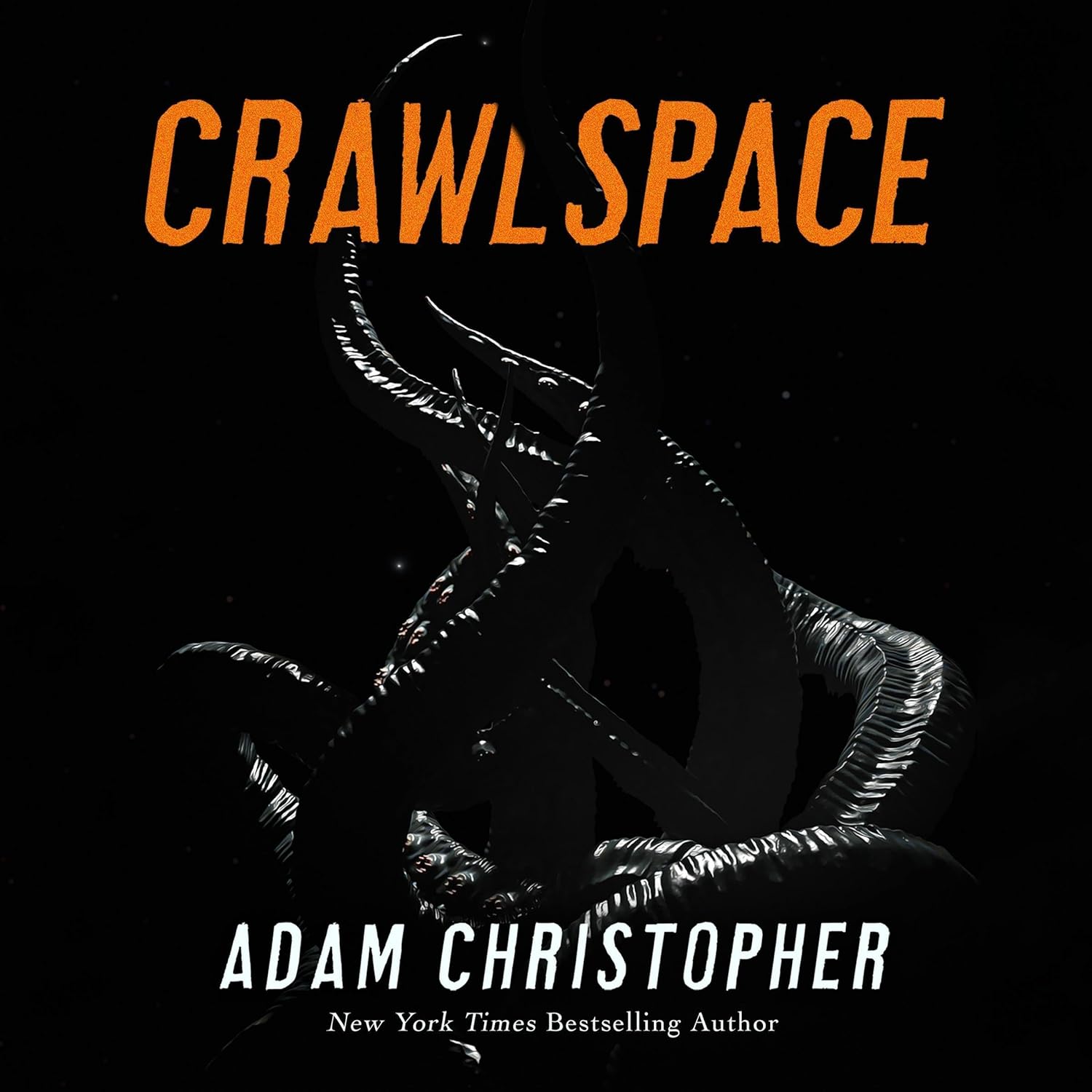 Stream Crawlspace by Adam Christopher