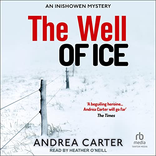 The Well of Ice (An Inishowen Mystery) (Andrea Carter)