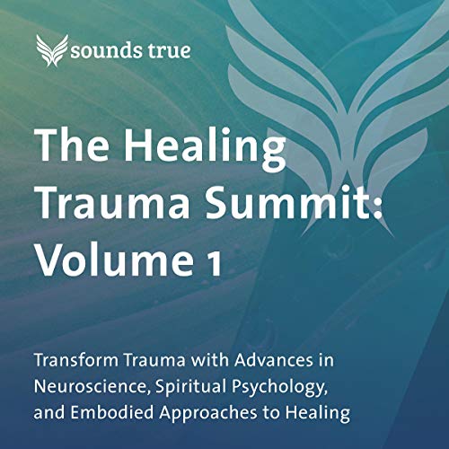 The Healing Trauma Summit: Volume 1 Audiobook