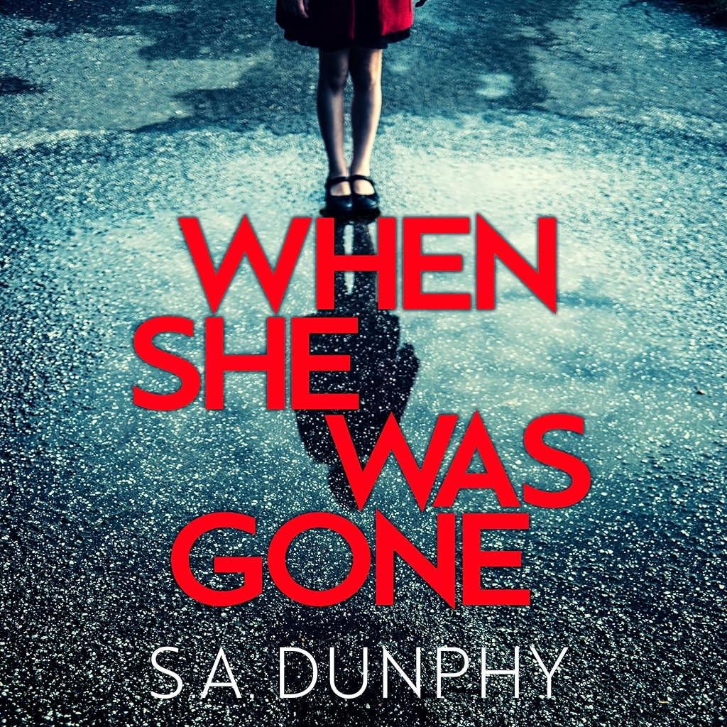When She Was Gone (David Dunnigan) Audiobook