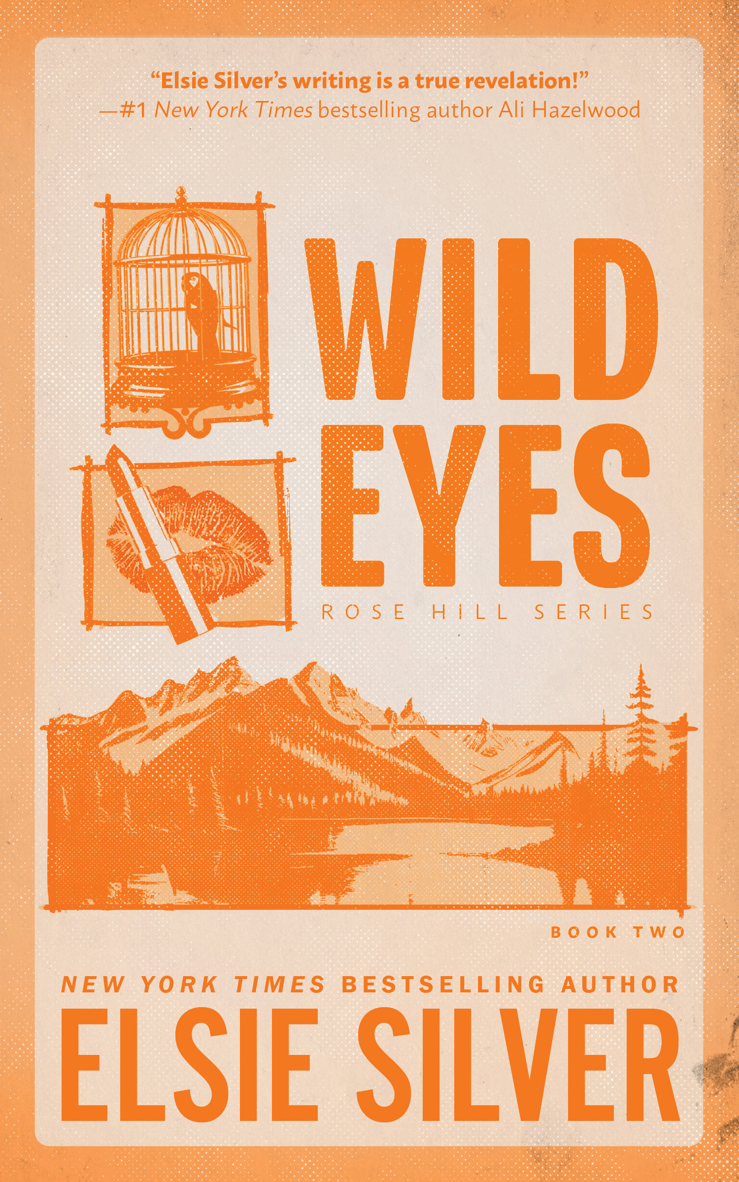 Free Audiobook: Wild Eyes by Elsie Silver