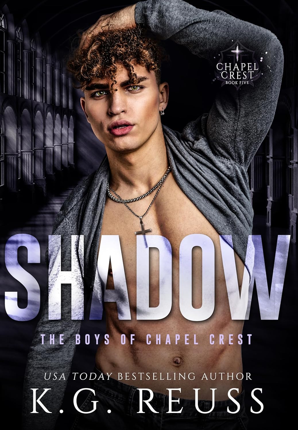Shadow Audiobook