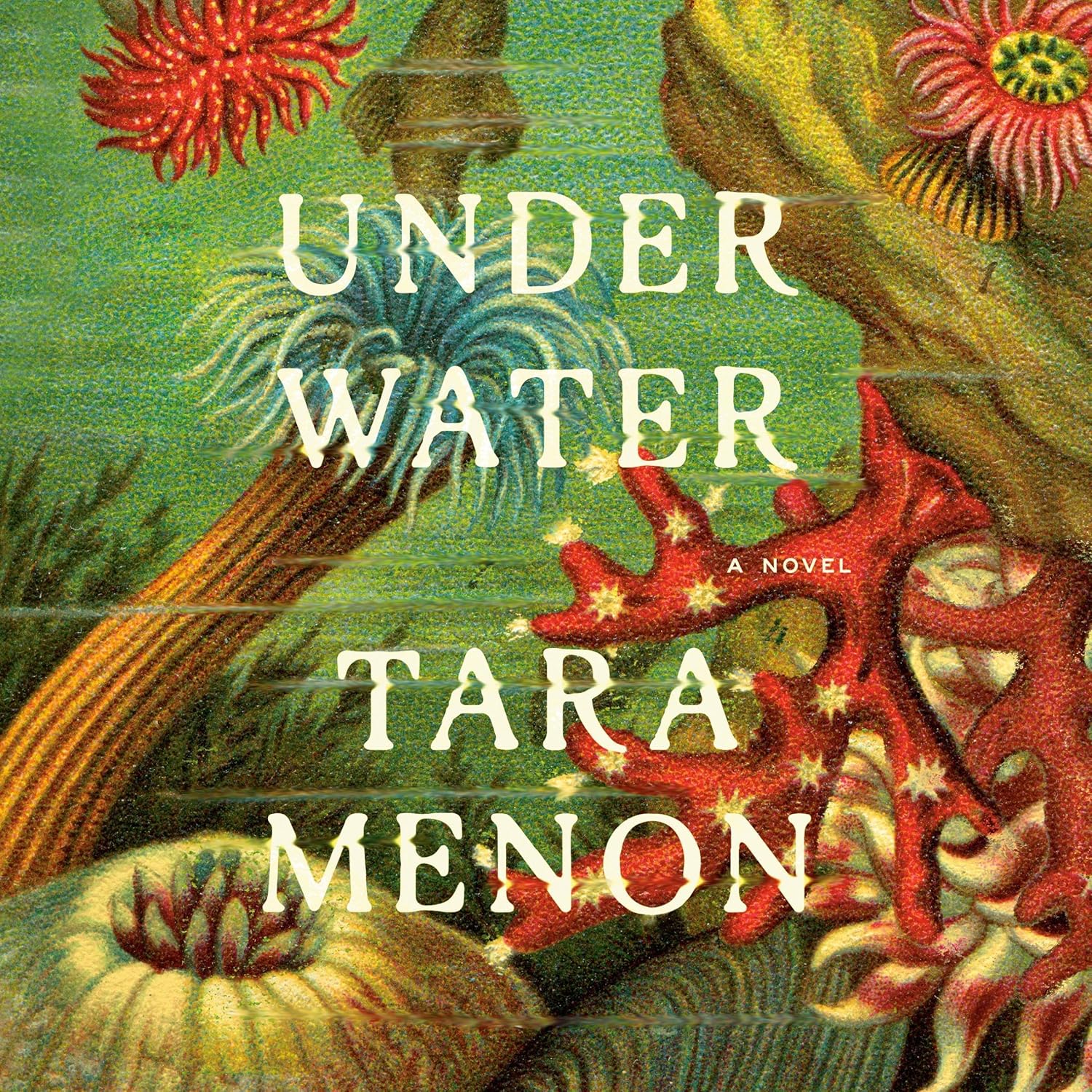 Stream Under Water by Tara Menon