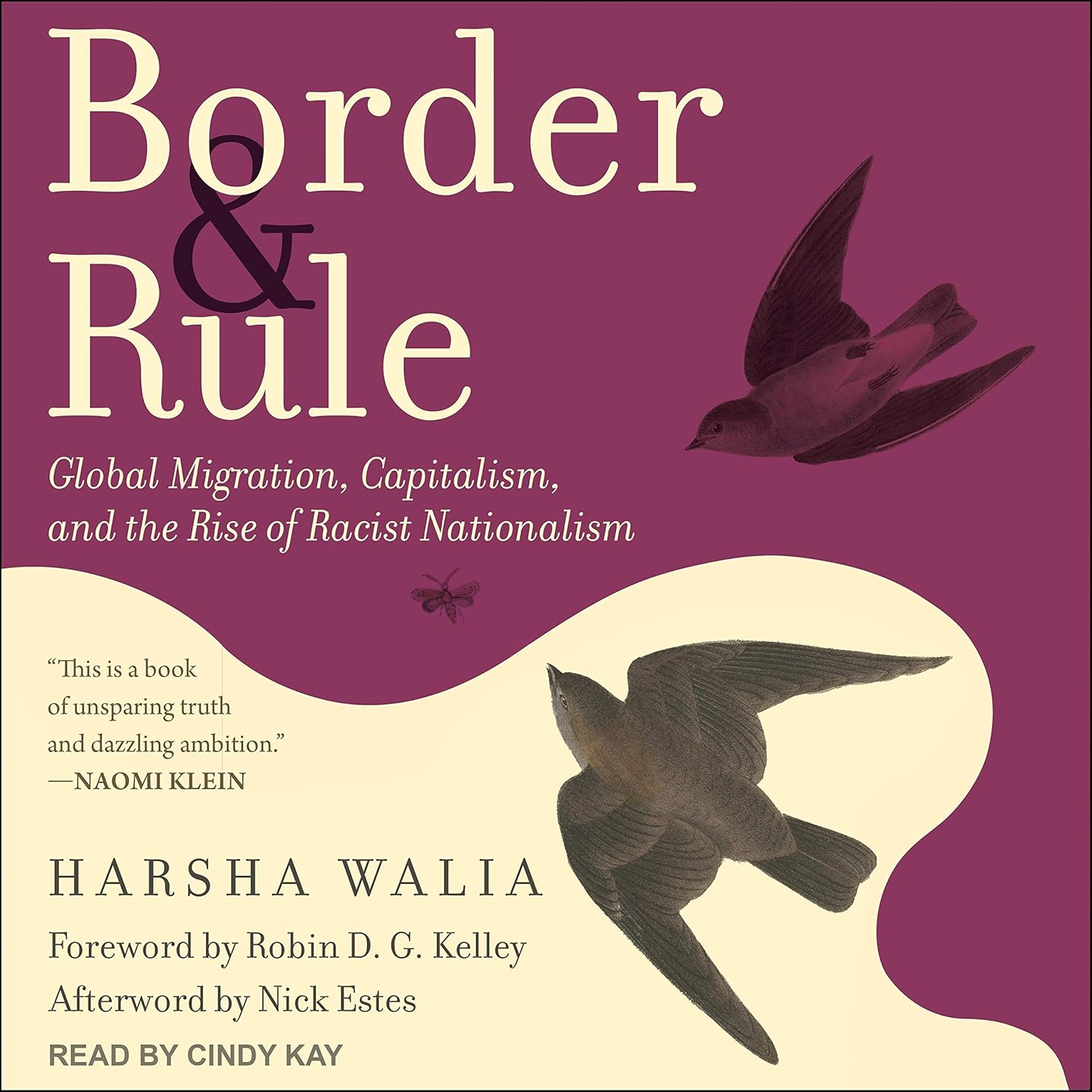 Border and Rule : Global Migration, Capitalism, and the Rise of Racist Nationalism Audiobook