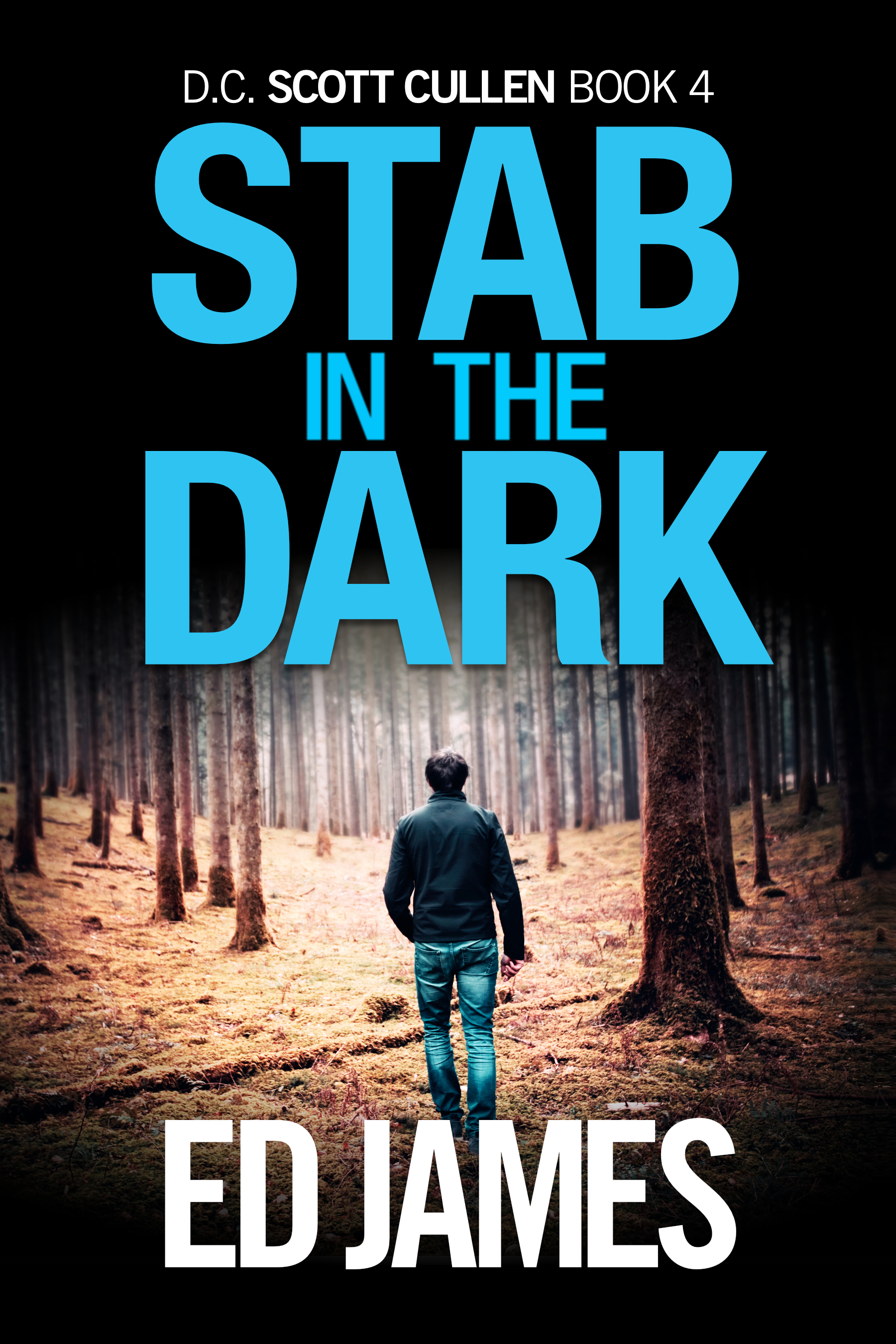 Stab In The Dark – Full Audiobook