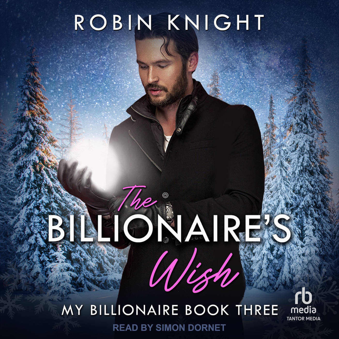 Robin Knight: My Billionaire Series, Book 3