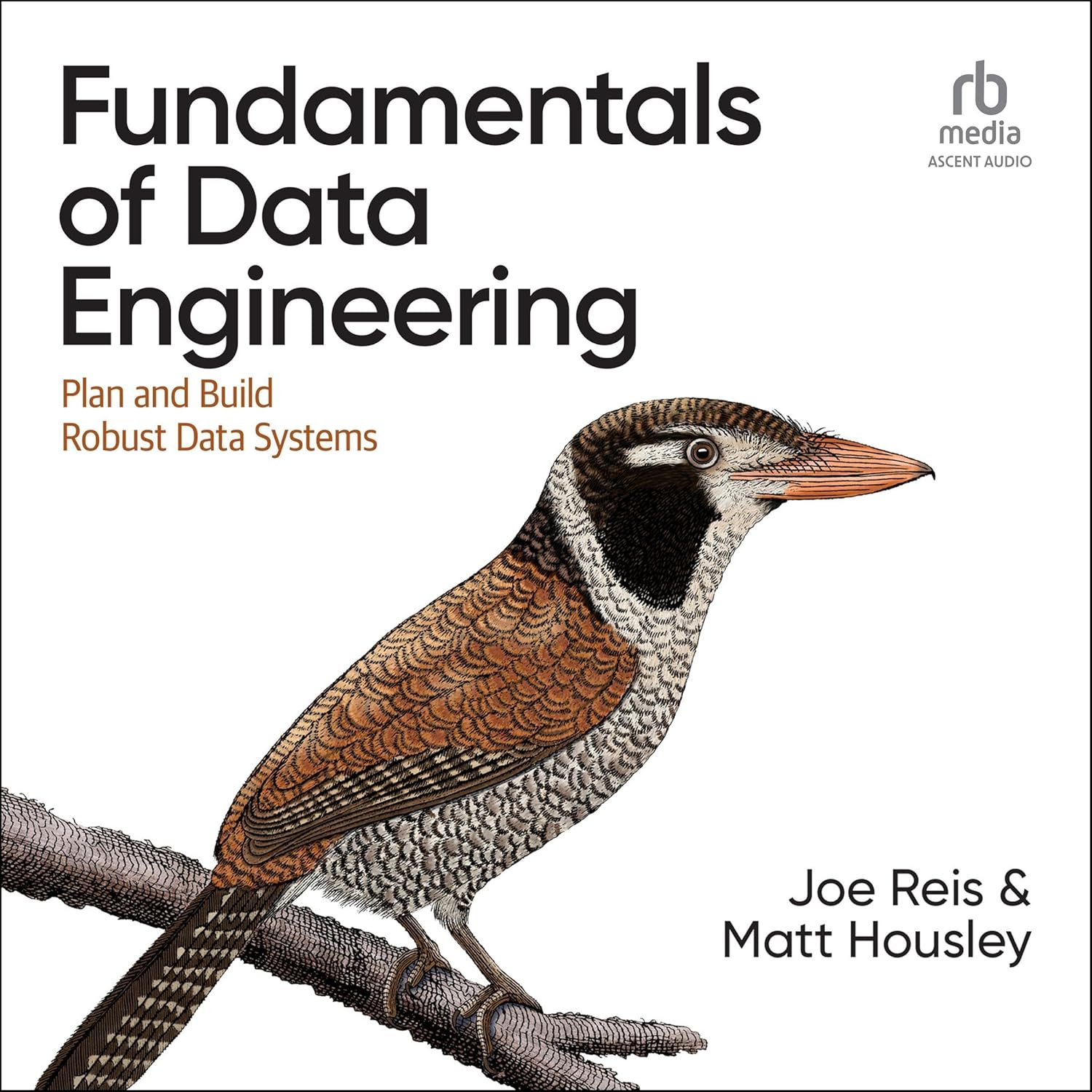 Listen to Fundamentals of Data Engineering: Plan and Build Robust Data Systems
