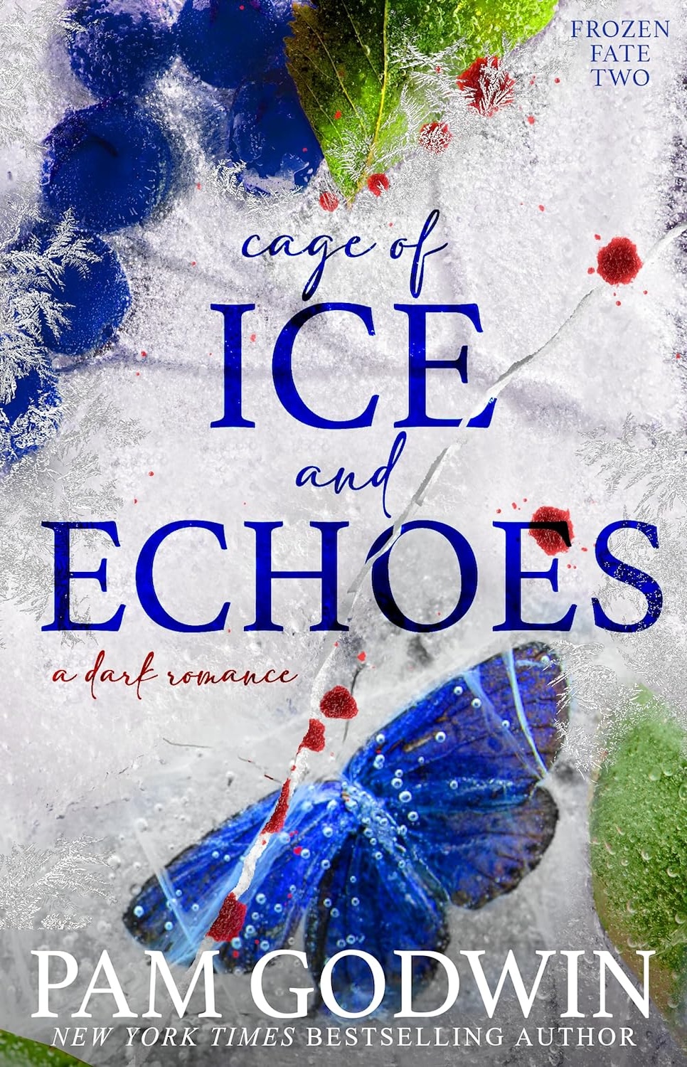 Cage of Ice and Echoes (Pam Godwin)