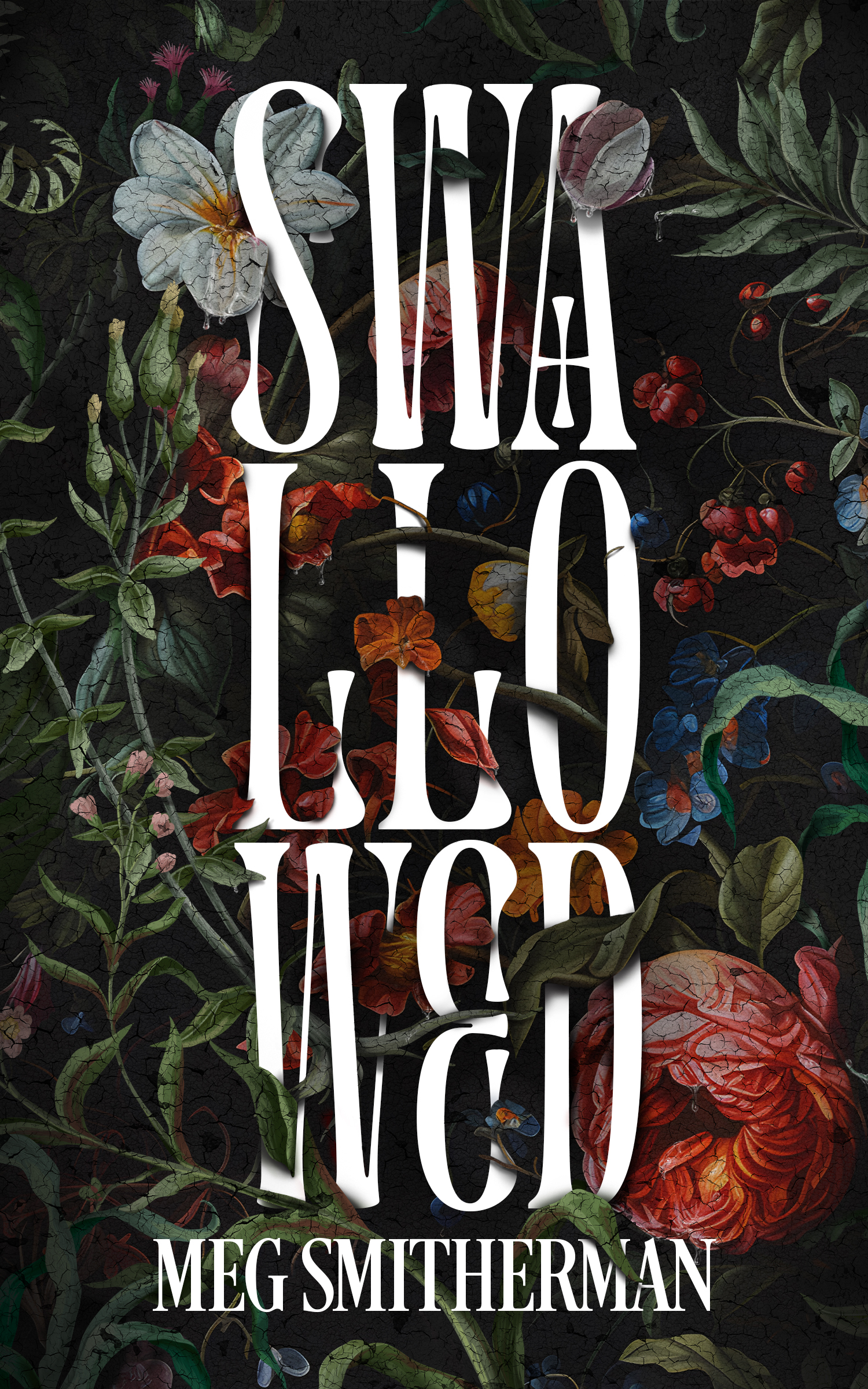 Stream Swallowed by Meg Smitherman