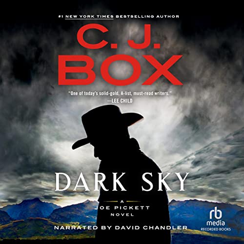 Dark Sky (Joe Pickett) (C. J. Box)