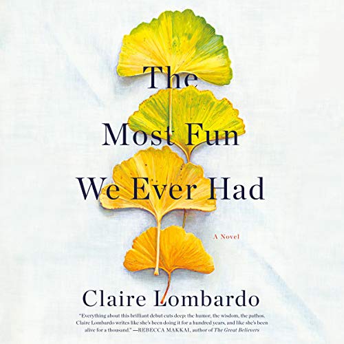 The Most Fun We Ever Had Audiobook