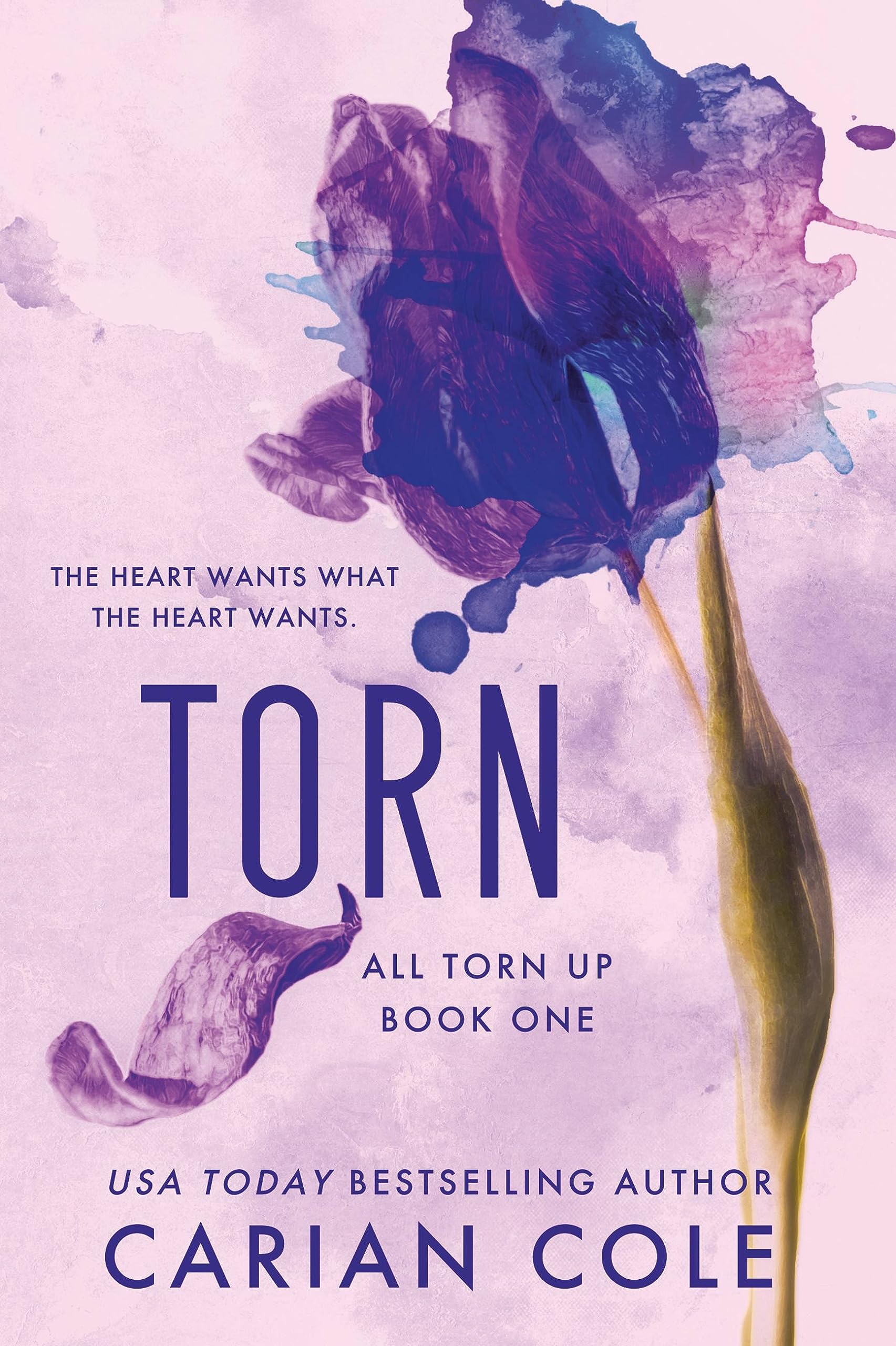 Torn Audiobook