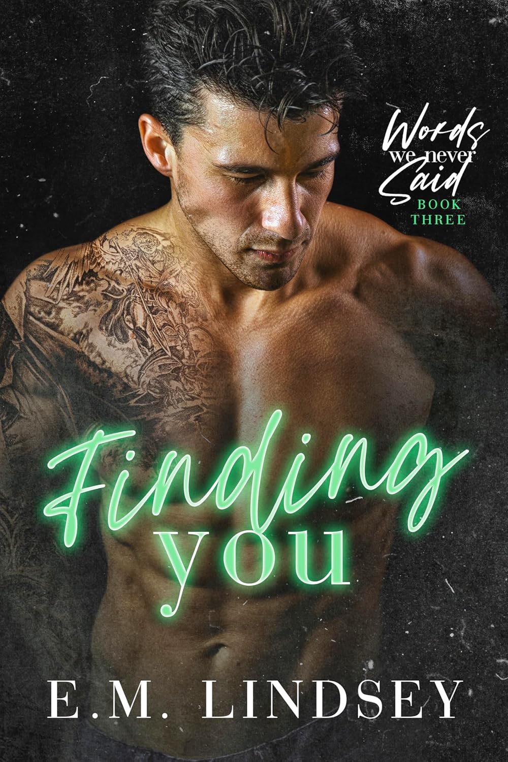 Stream Finding You by E.M. Lindsey