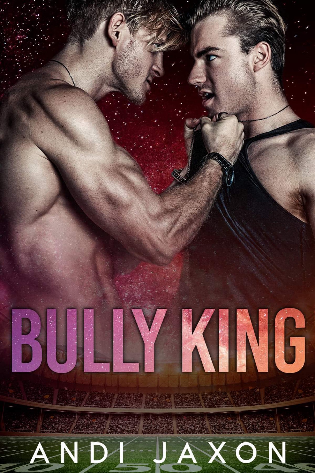 Bully King by Andi Jaxon (Audiobook)