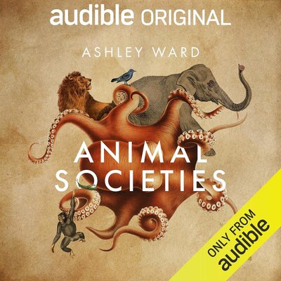 Listen to Animal Societies: How Co-Operation Conquered the Natural World