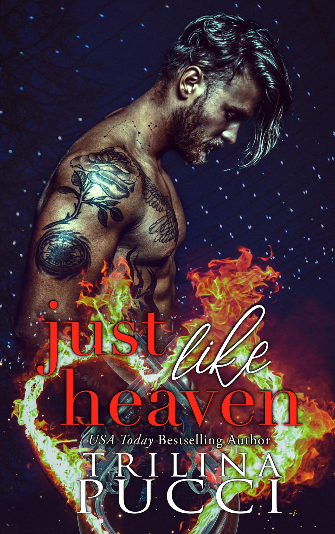 Just Like Heaven (Trilina Pucci)