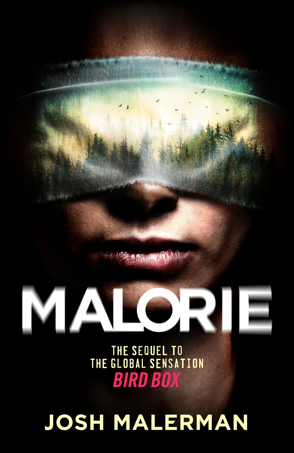 Malorie by Josh Malerman (Audiobook)