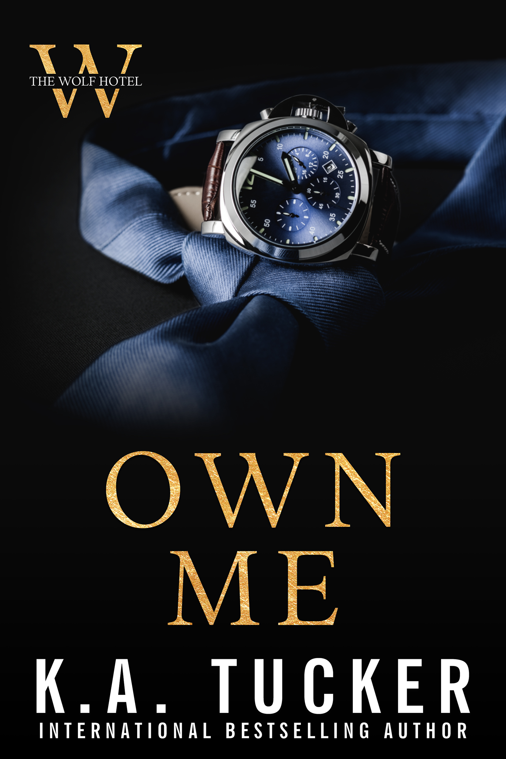 Own Me – Full Audiobook