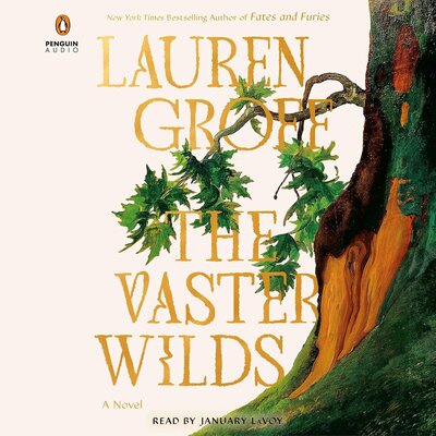 Free Audiobook: The Vaster Wilds by Lauren Groff
