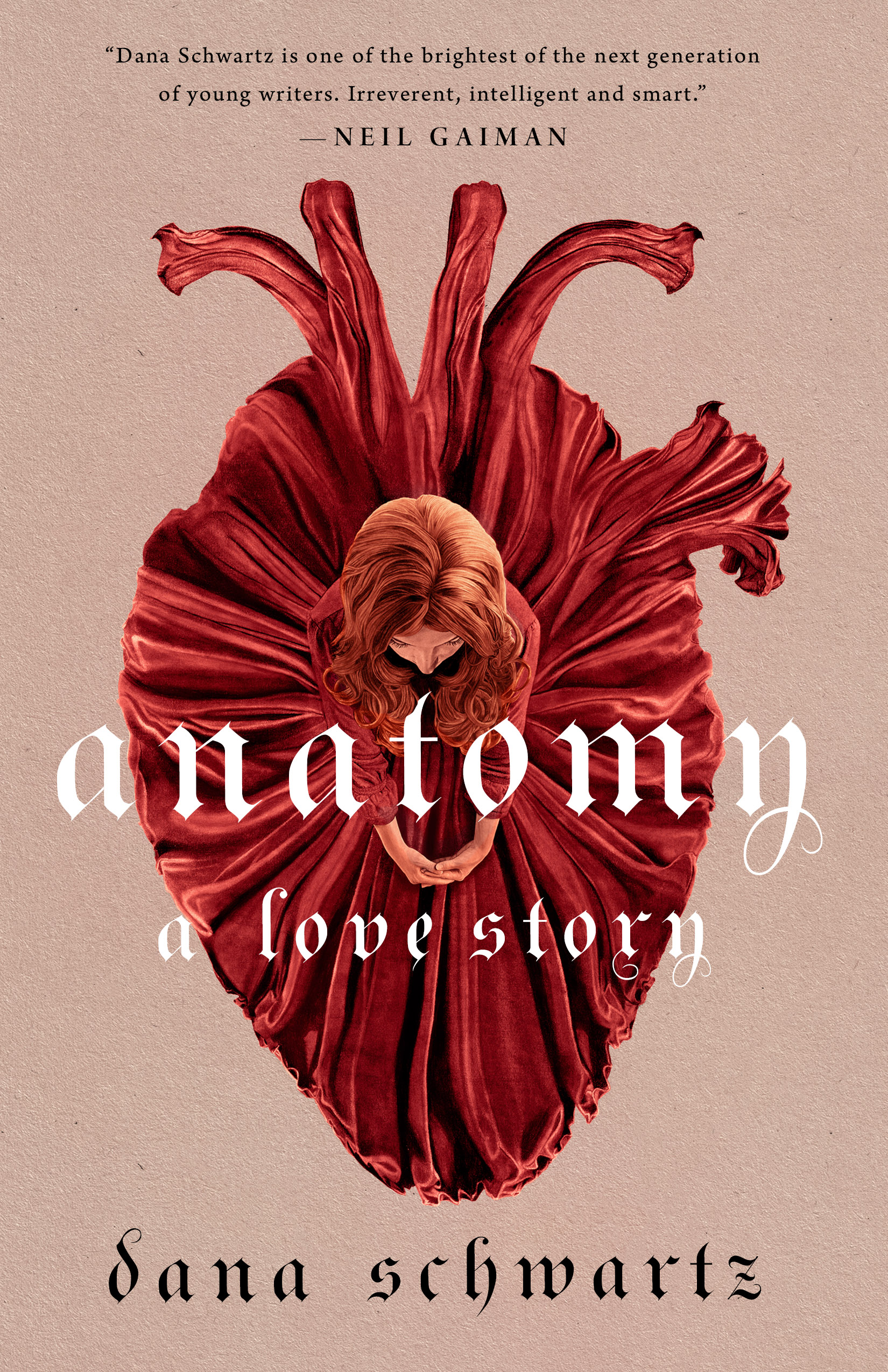 Stream Anatomy: A Love Story by Dana Schwartz
