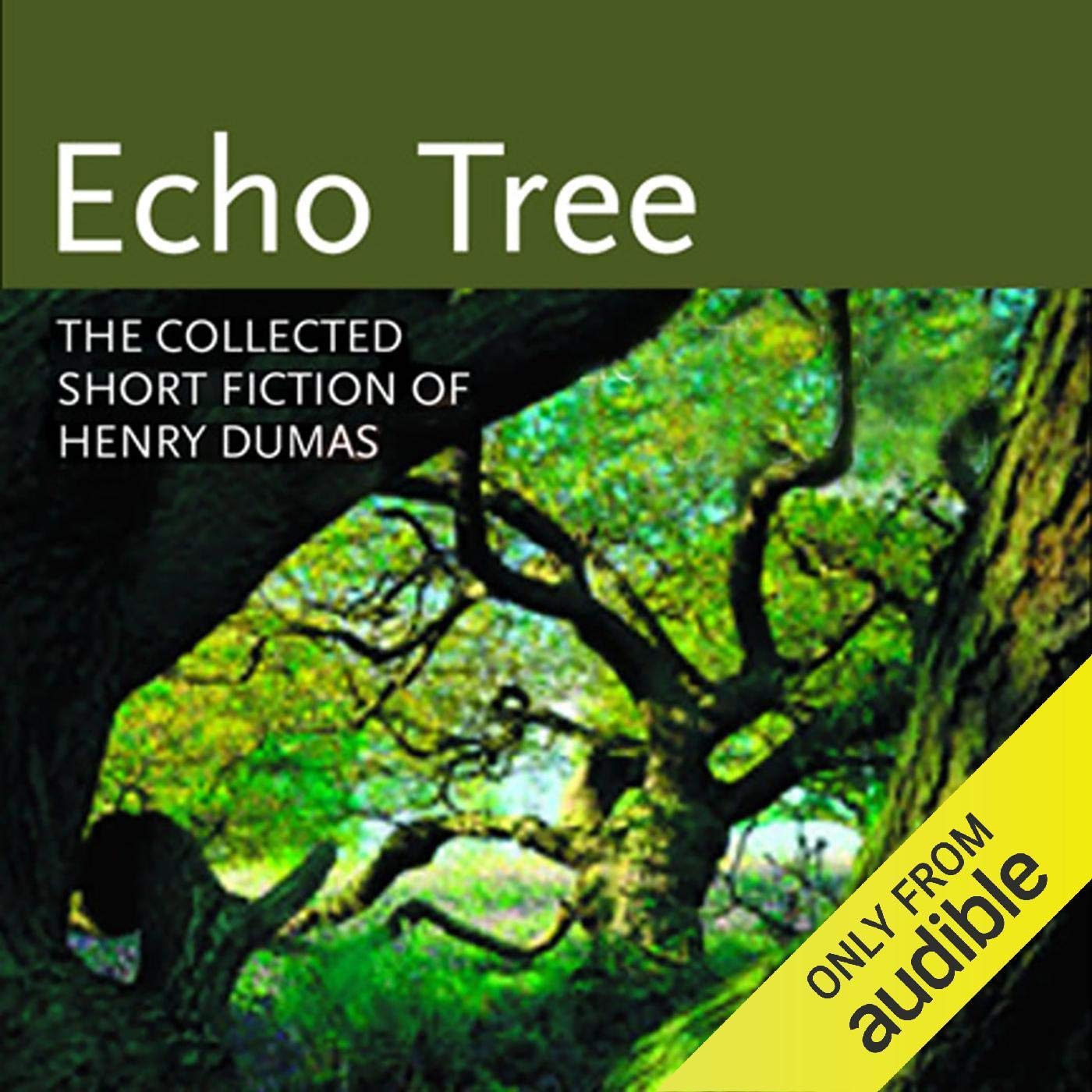 Echo Tree: The Collected Short Fiction of Henry Dumas Audiobook