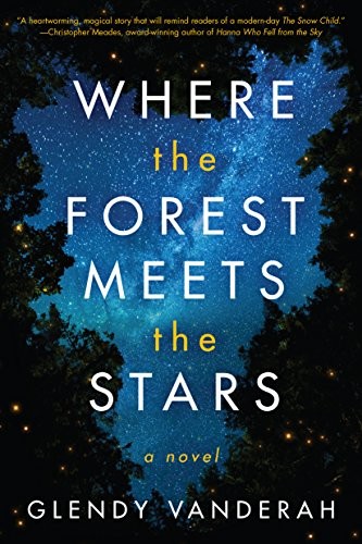 Stream Where the Forest Meets the Stars by Glendy Vanderah