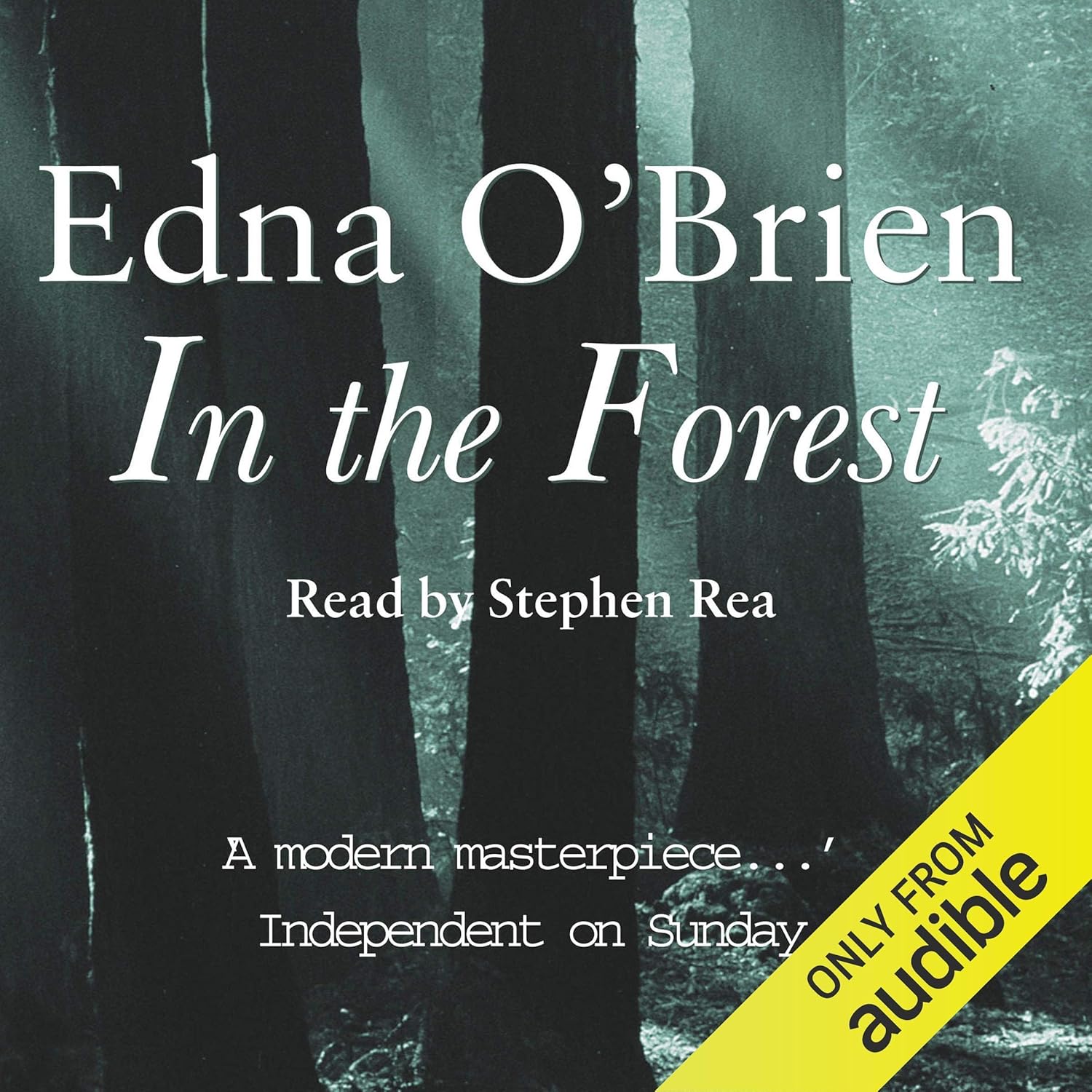 Stream In the Forest by Edna O’Brien
