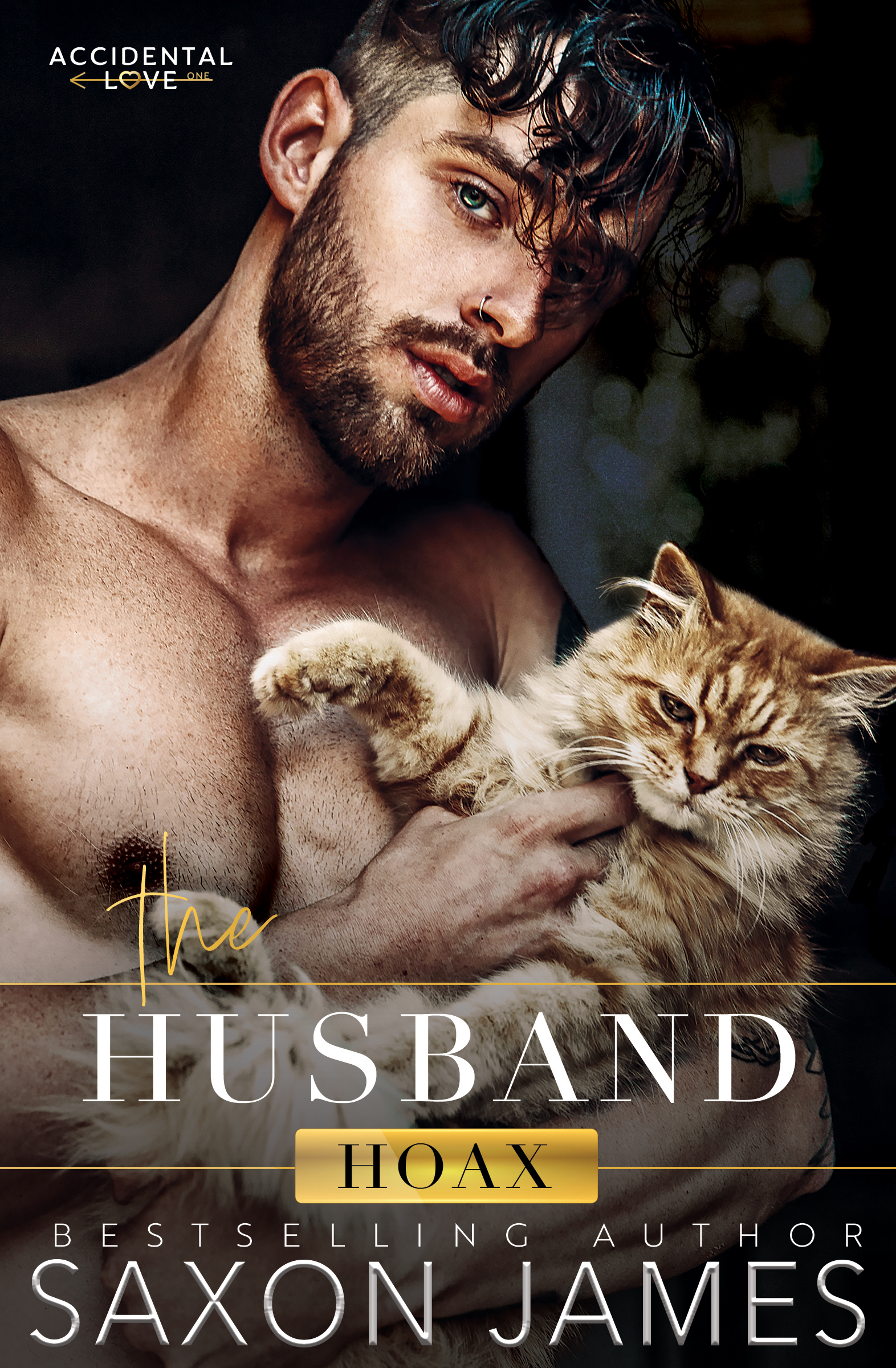 Stream The Husband Hoax by Saxon James