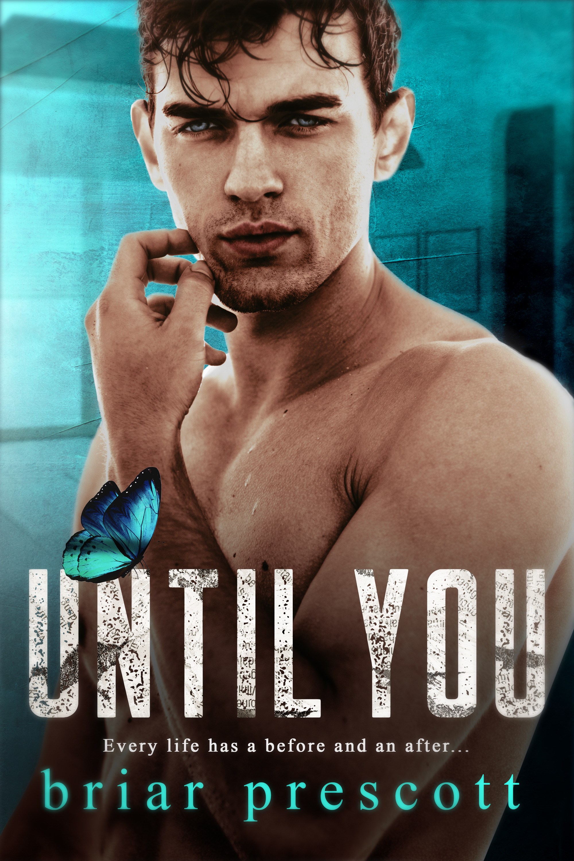 Until You (Briar Prescott)