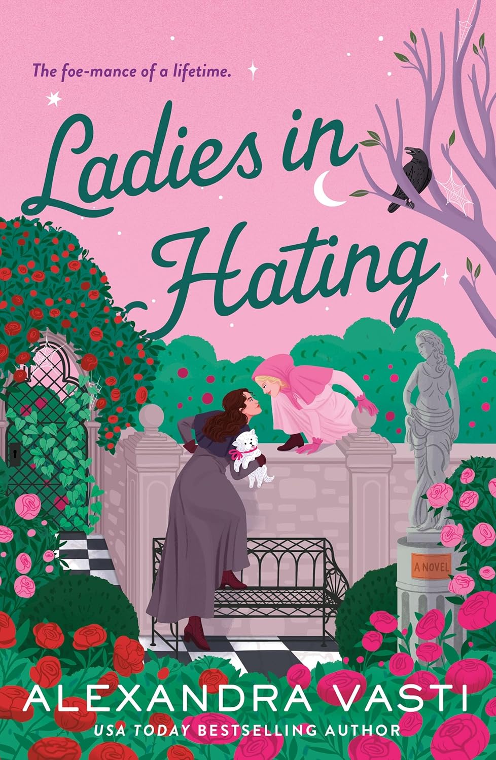Ladies in Hating Audiobook