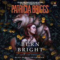 Stream Burn Bright by Patricia Briggs