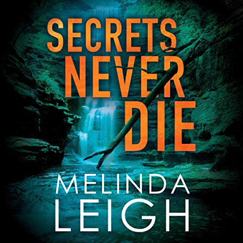 Stream Secrets Never Die (Morgan Dane) by Melinda Leigh