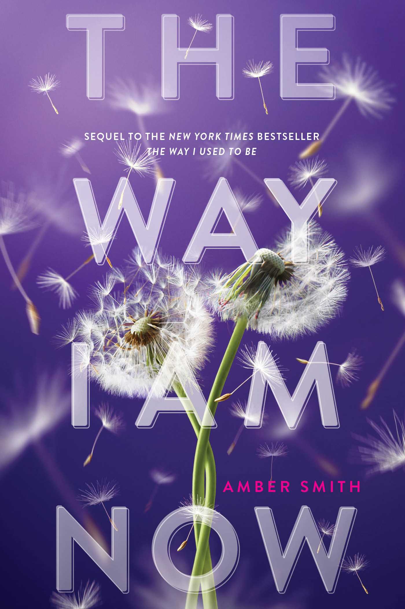 The Way I Am Now (Amber Smith)