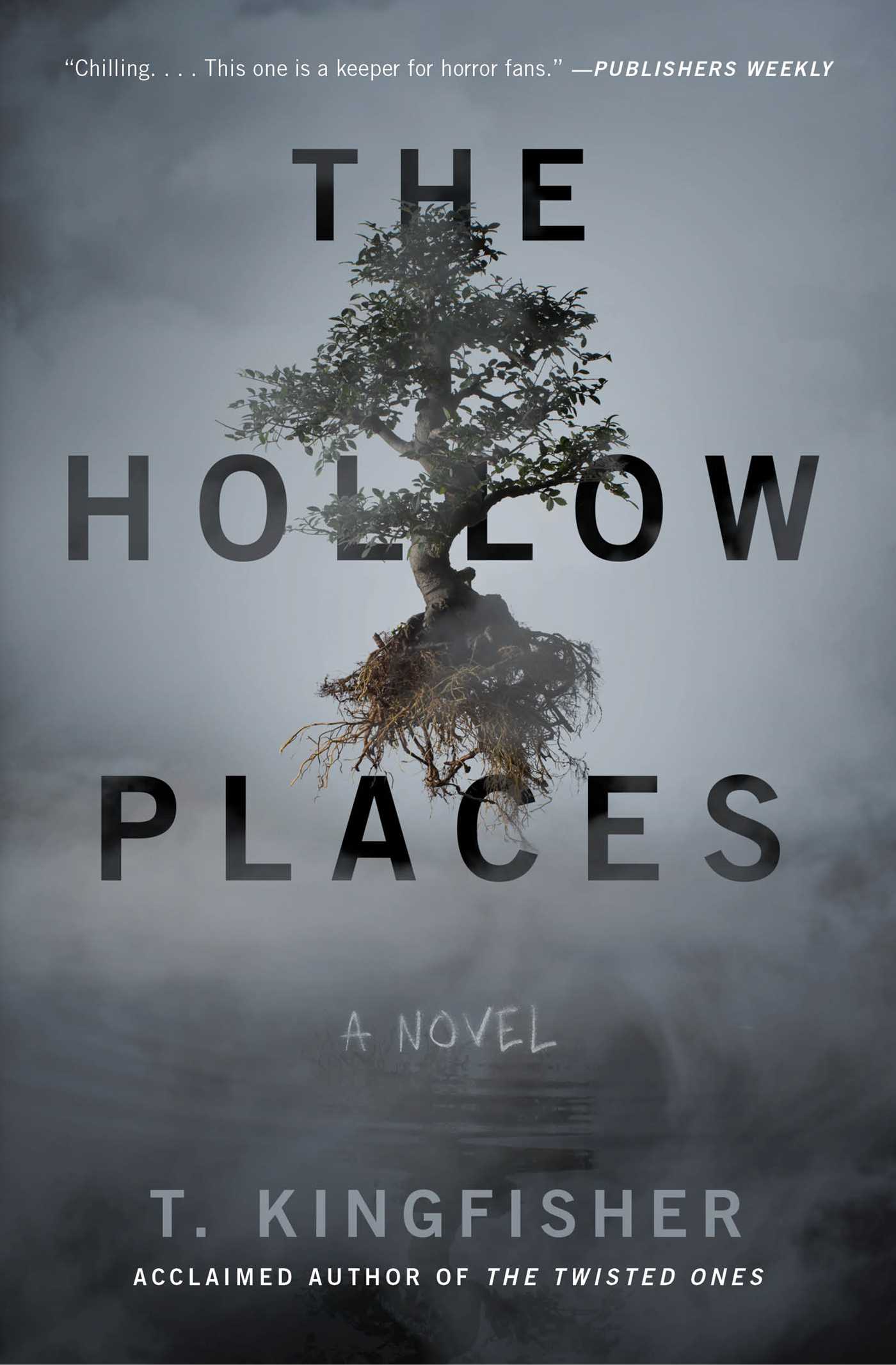 The Hollow Places Audiobook