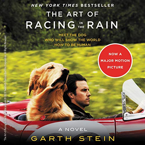 The Art of Racing in the Rain (Garth Stein)