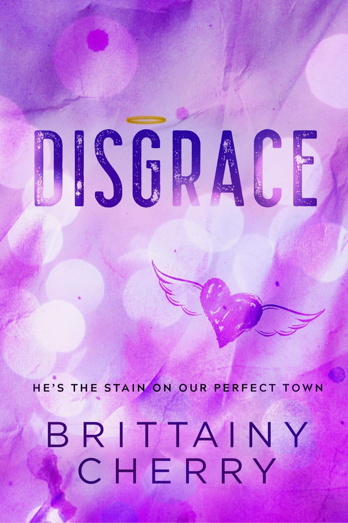 Disgrace Audiobook